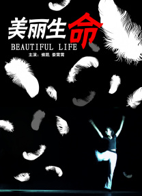 成人午夜影院在线观看